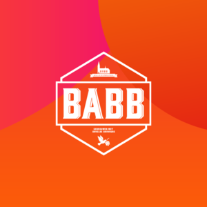 BeeldschermBABBpng