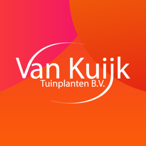 BeeldschermVanKuijkTpng