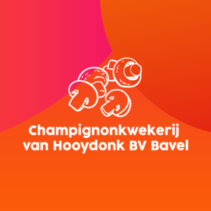 BeeldschermVHOOIJDONKpng