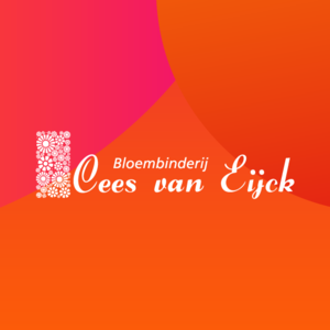BeeldschermCeesvEijckpng