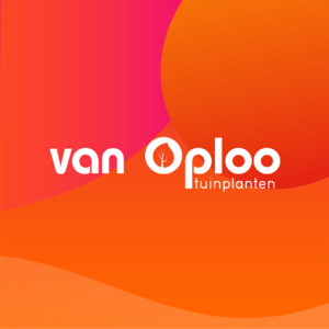 WebsiteVan Oploopng