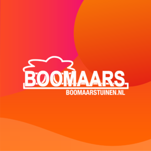 WebsiteBoomaarspng