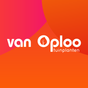 BeeldschermOploopng